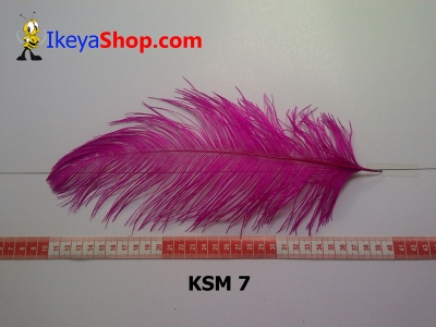 bulu kasuari medium KSM 7   feather  large2